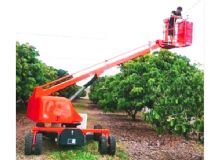 果園采摘車(chē) 閱讀次數(shù)：863